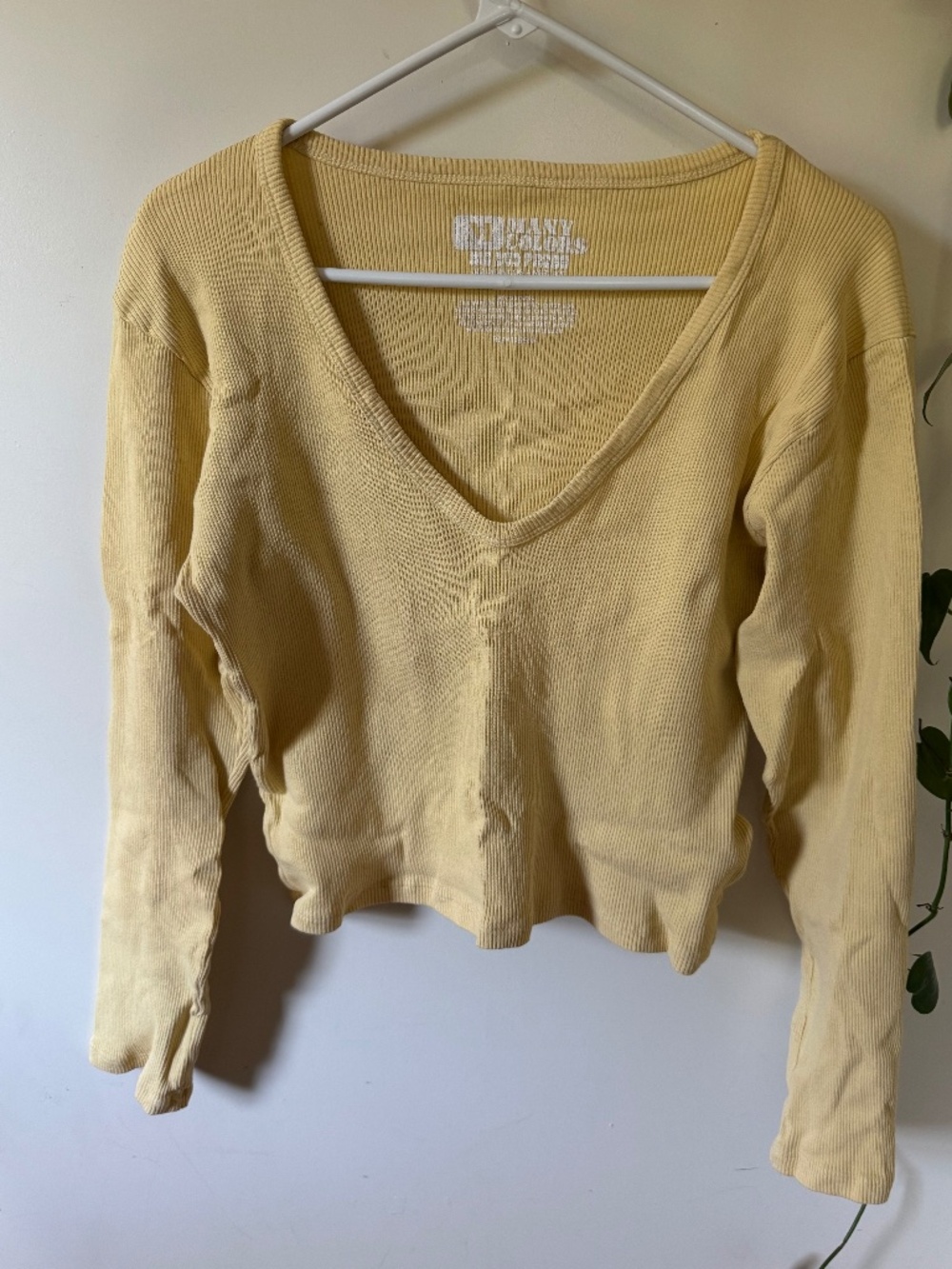 Big Bud Press Long Sleeve V-neck Top